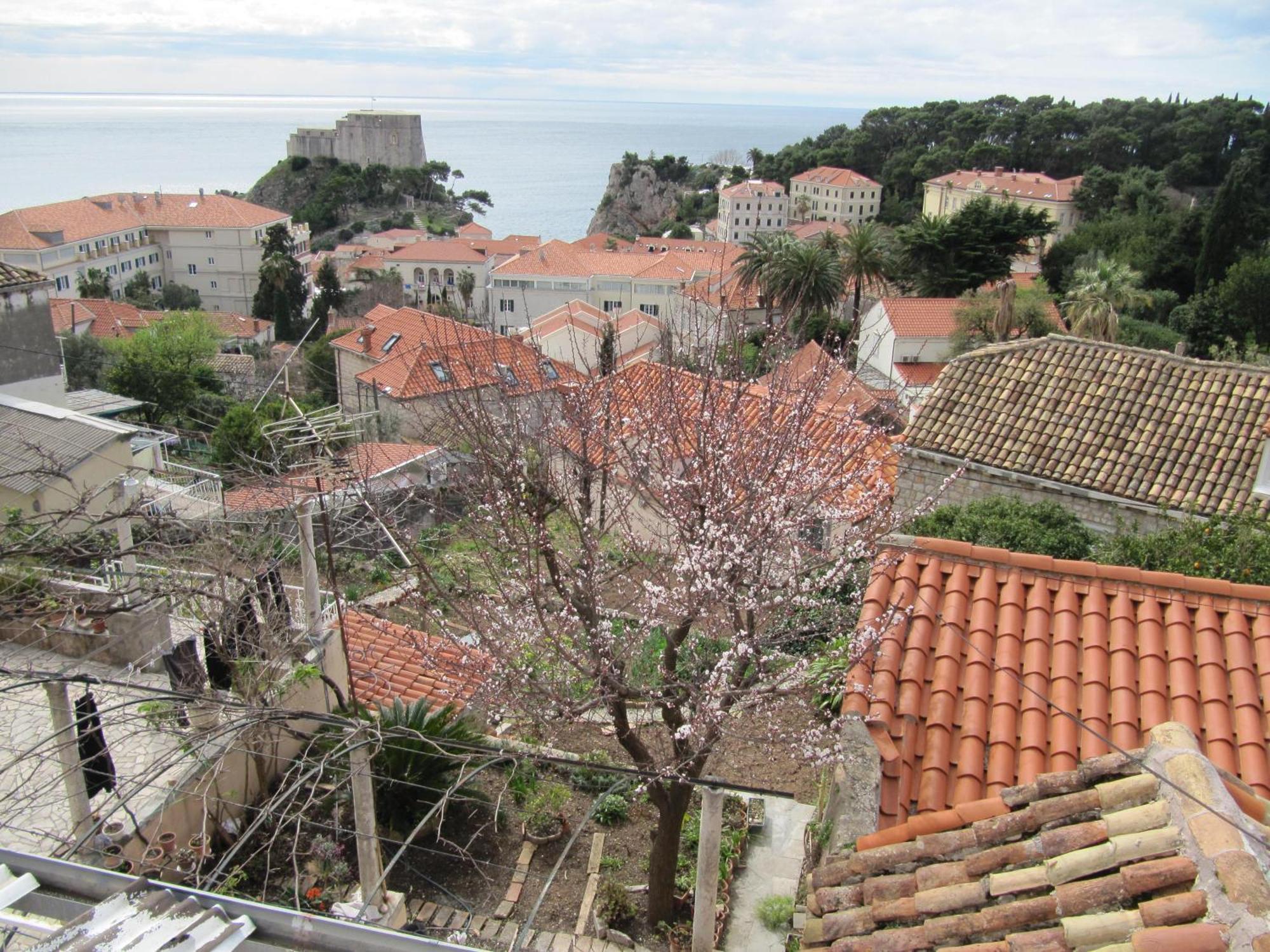 Room & Apartment Saint John Dubrovnik Exteriör bild